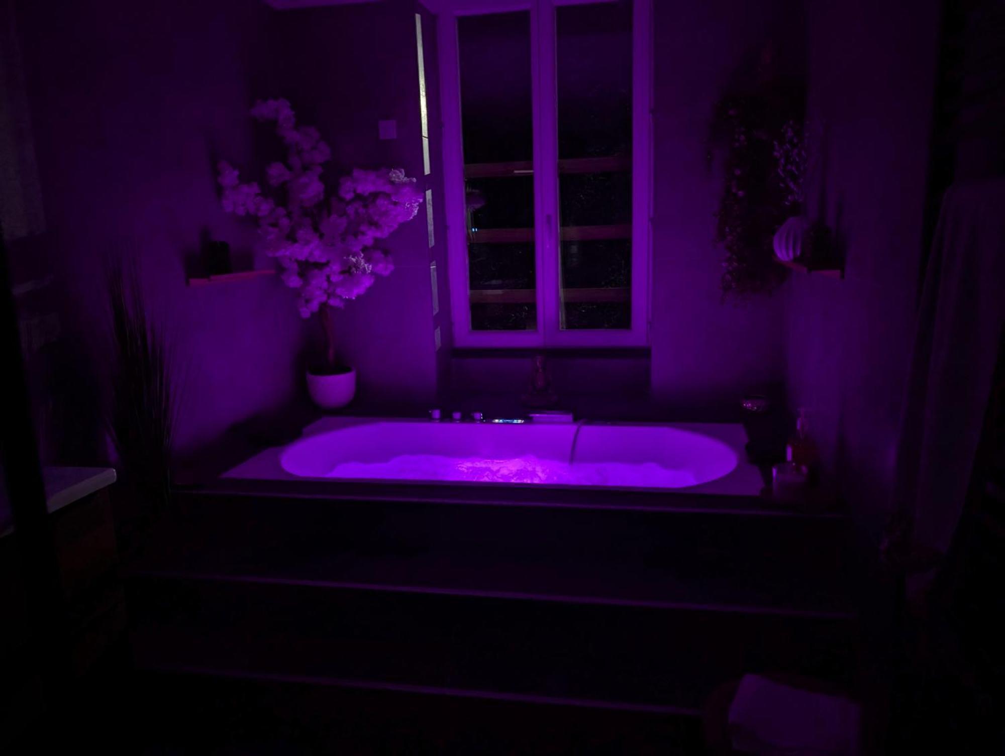 Le Spa - Villa Valmy - Hypercentre - Gare Sncf Montluçon Dış mekan fotoğraf