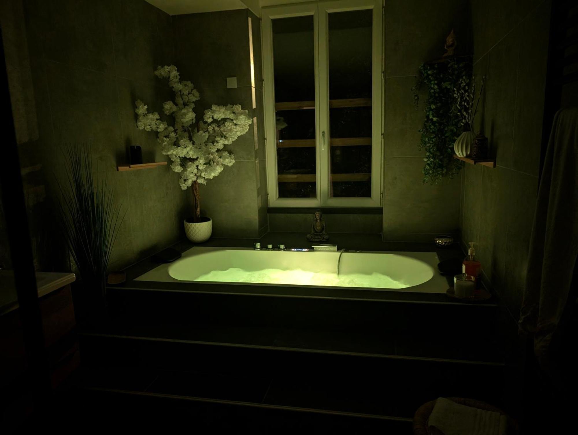 Le Spa - Villa Valmy - Hypercentre - Gare Sncf Montluçon Dış mekan fotoğraf